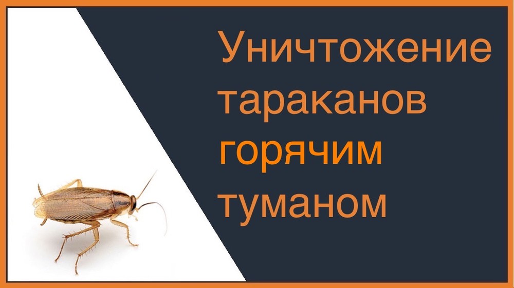 Уничтожение тараканов горячим туманом в Симферополе