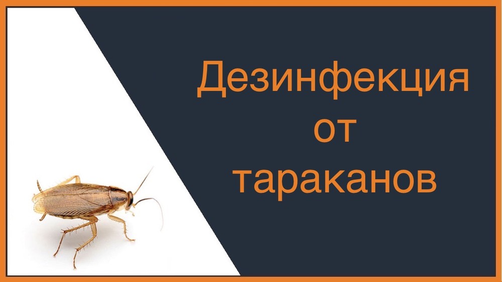 Дезинфекция от тараканов в Симферополе